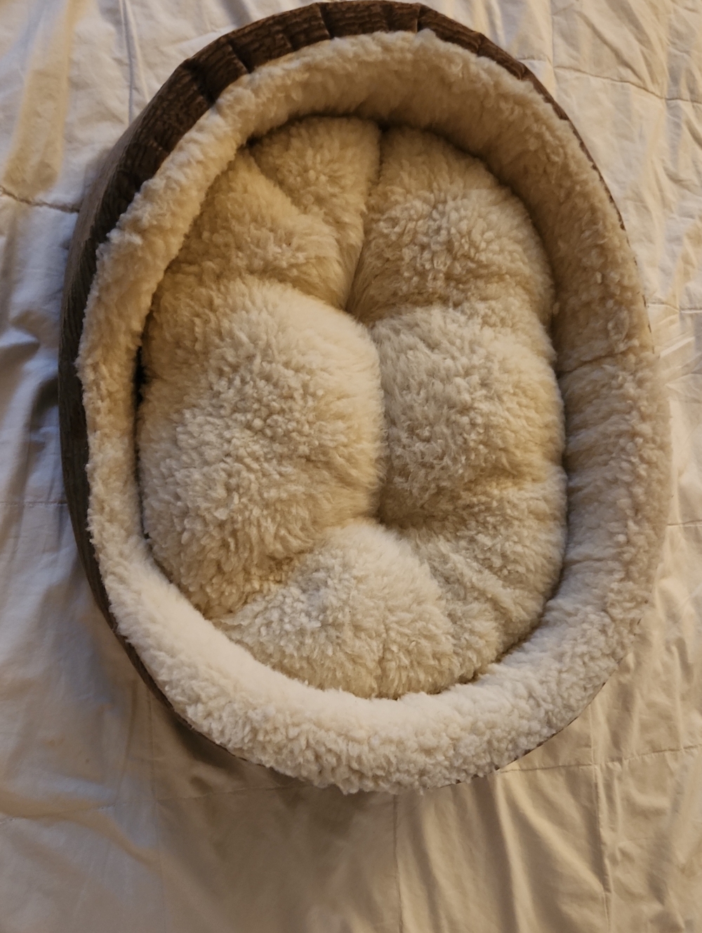Plush Cream Sherpa Pet Bed - Soft Furry Cushion